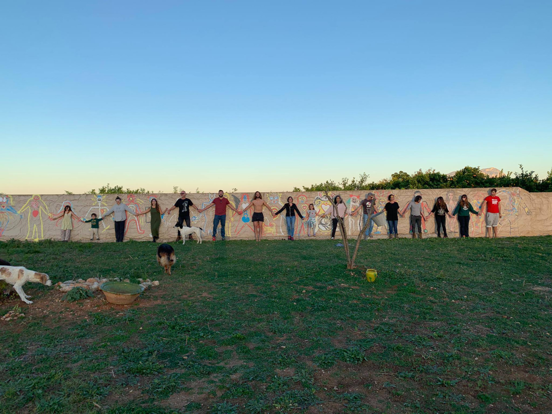 Círculo en el campo al atardecer